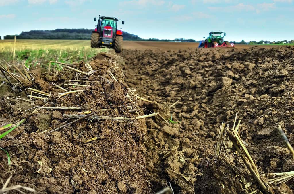 Bodenmarkt: 1,8 Mio. Hektar in Hand von Unternehmensgruppen | top agrar  online