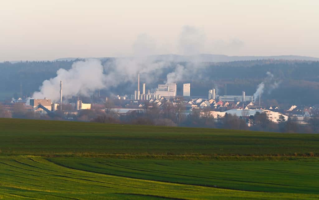 BMI verliert 100 Mio. kg Milch an Bechtel | top agrar online