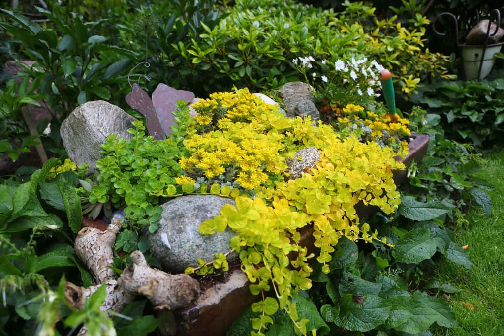 Im Garten der Liebenden Seniorin Elfriede Ruhe pflegt einen 4500 m²