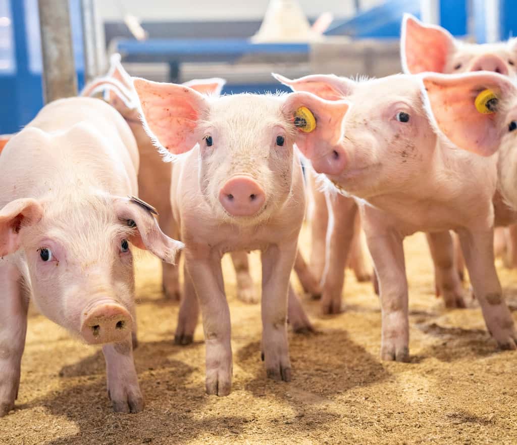 EU-Kommission erwartet 2024 Trendwende auf dem Markt für ...