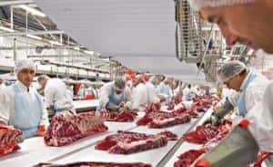 Deutsche Fleischwirtschaft wächst trotz Gegenwind