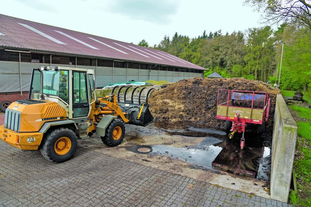 Ratgeber Mist richtig lagern