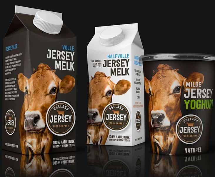 Holländer vermarkten „Jersey Milch“