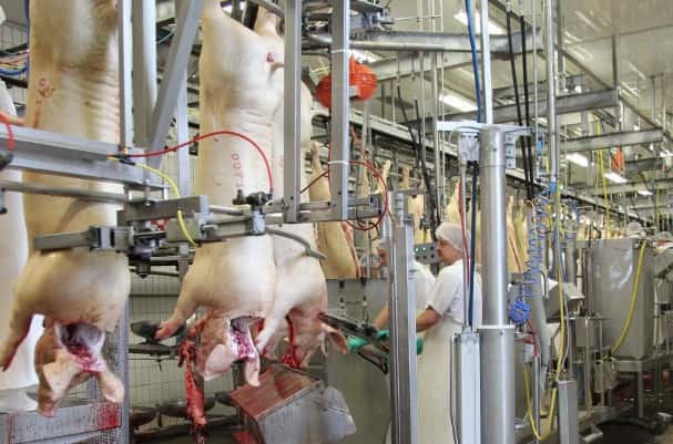Weltweit weniger Schweinefleisch und mehr Rindfleisch erwartet