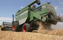 Studie untersucht Nachernteverluste in der Landwirtschaft