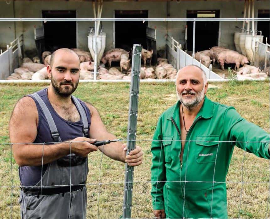 Česká republika vyhlašuje krizi kvůli africkému moru prasat