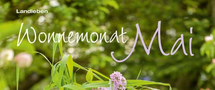 Wonnemonat Mai