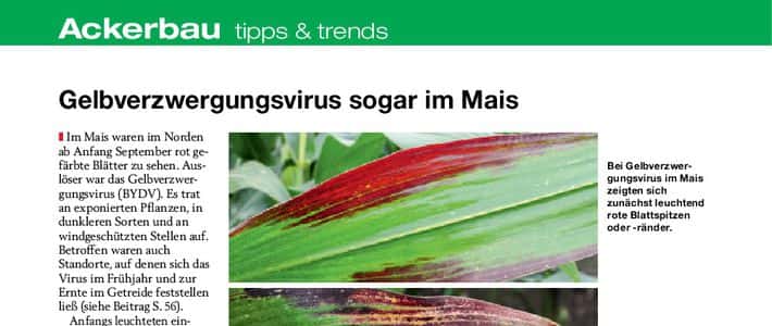 Glyphosat Mehr Wirkung mit weniger Menge