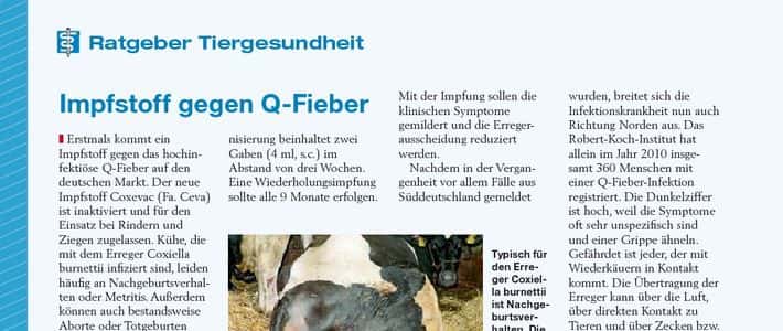 Mastitis-Schnelltest empfindlicher