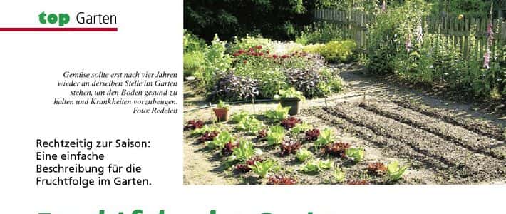 Fruchtfolge im Garten so einfach geht's!