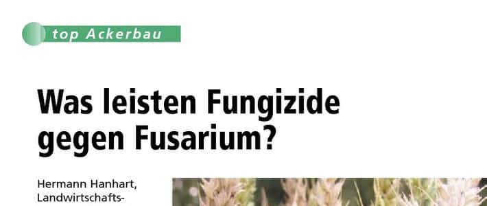 Was leisten Fungizide gegen Fusarium?