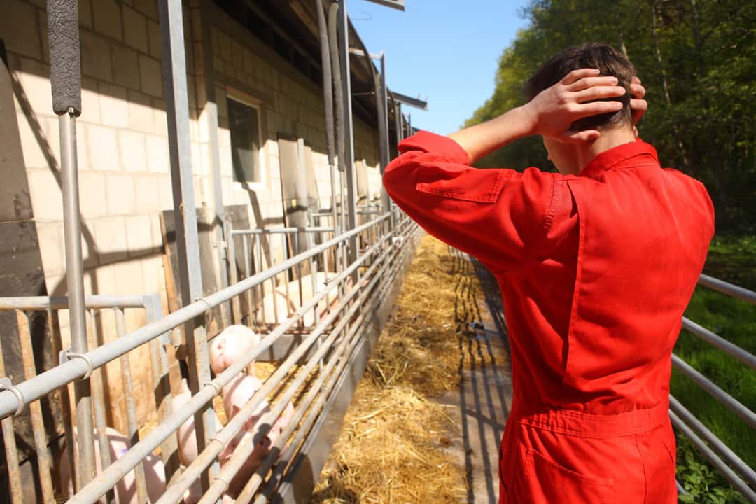 Rethink the farm? - These three suggestions can help