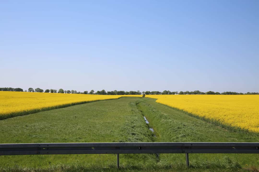 Deutschland verzichtet 2024 auf verpflichtende Stilllegung