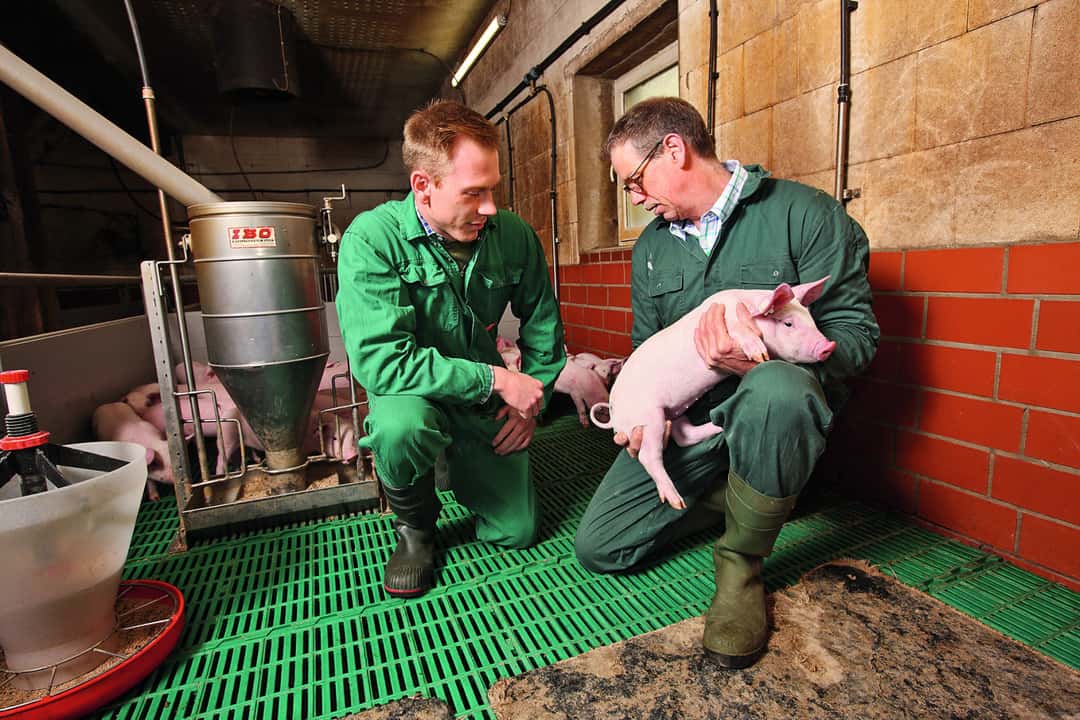 Farmer has his farm certified: “Climate action will pay off”