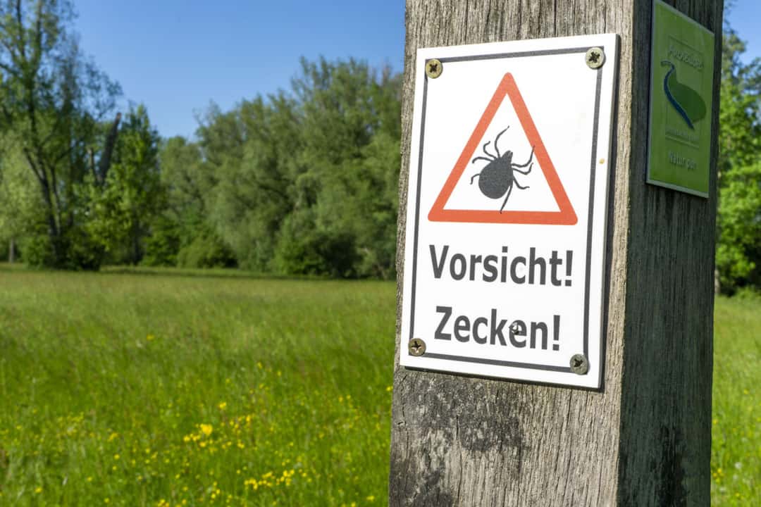 Lyme disease as an occupational disease: farmer wins in court