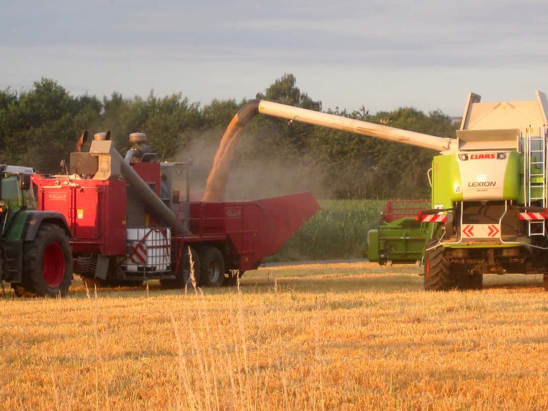 How to store your feed grain safely