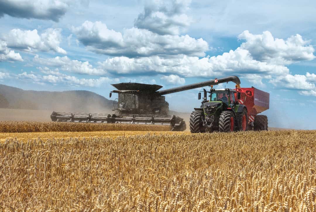 Grain contracts with Baywa: How to protect yourself
