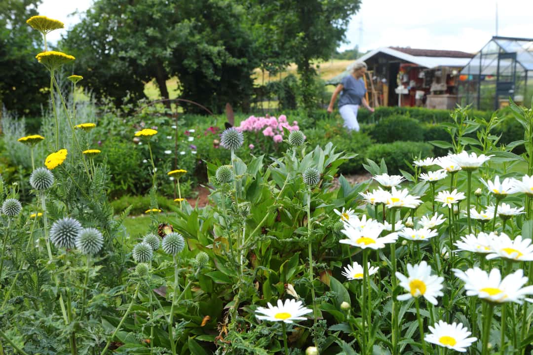 Wie Bäuerin Beate Freitag die Arbeit in ihrem großen Garten in Grenzen