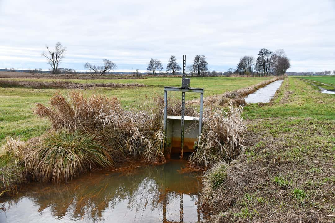 Wie-Landwirte-in-Brandenburg-mit-Wasserknappheit-umgehen