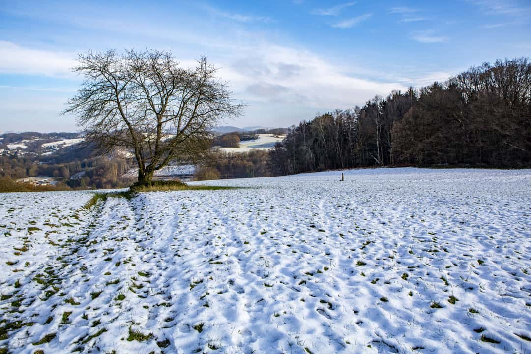 Wann-sind-die-Agrarpr-mien-auf-dem-Konto-