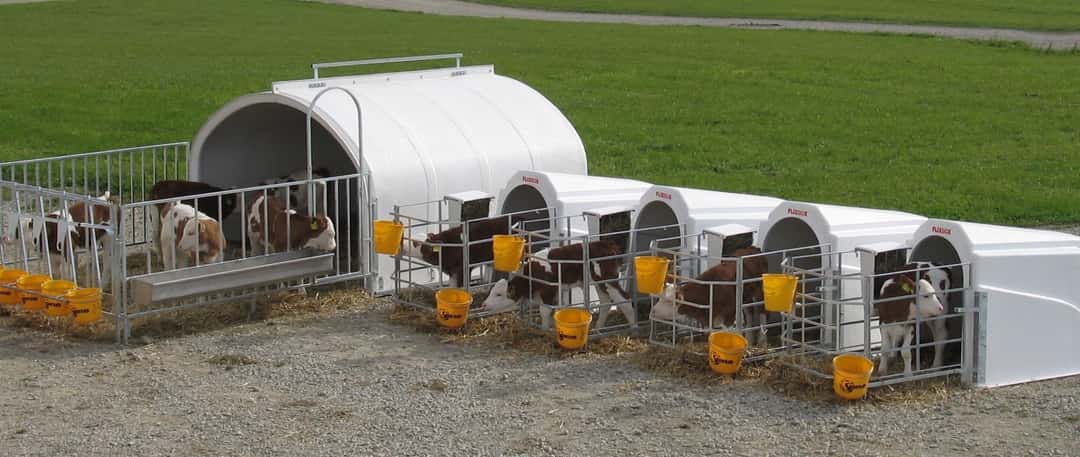 Danish CO2 tax likely to place a massive burden on farmers from 2030