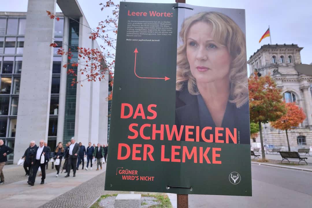 Criticism from the FDP: Lemke's rapid shooting program for wolves a ...