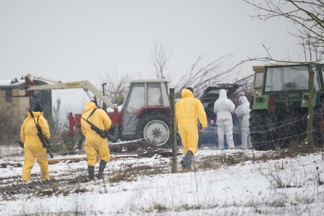 Maul-und-Klauenseuche-zdemir-gibt-Entwarnung-Verdachtsfall-nicht-best-tigt