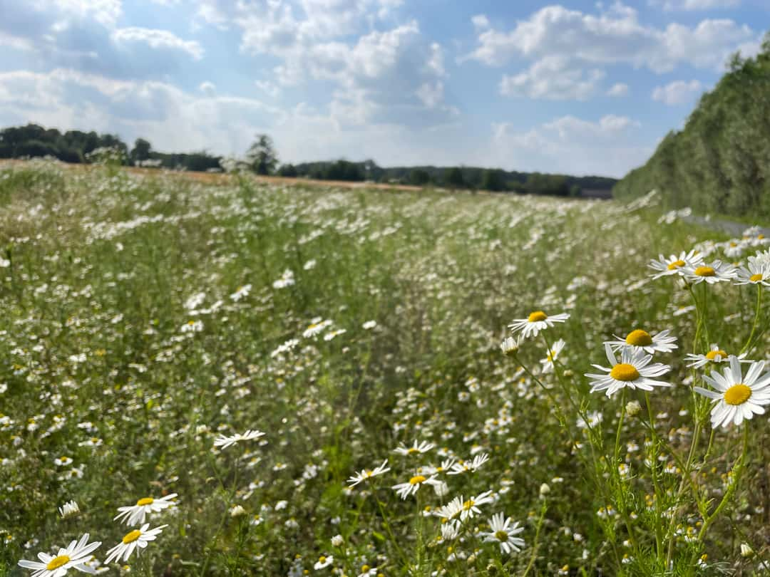 Landwirte-sagen-ihre-Meinung-Erfolgsorientierte-Agrarpr-mie-Top-oder-Flop-