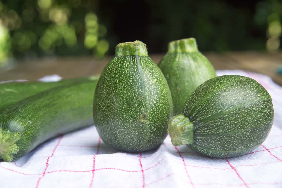Bittere Zucchini? top agrar online