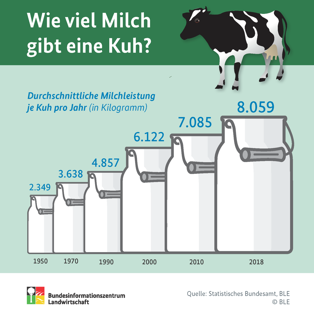 Wieviel Liter Milch Für 1 Kg Emmentaler Milchmenge einer Hochleistungskuh