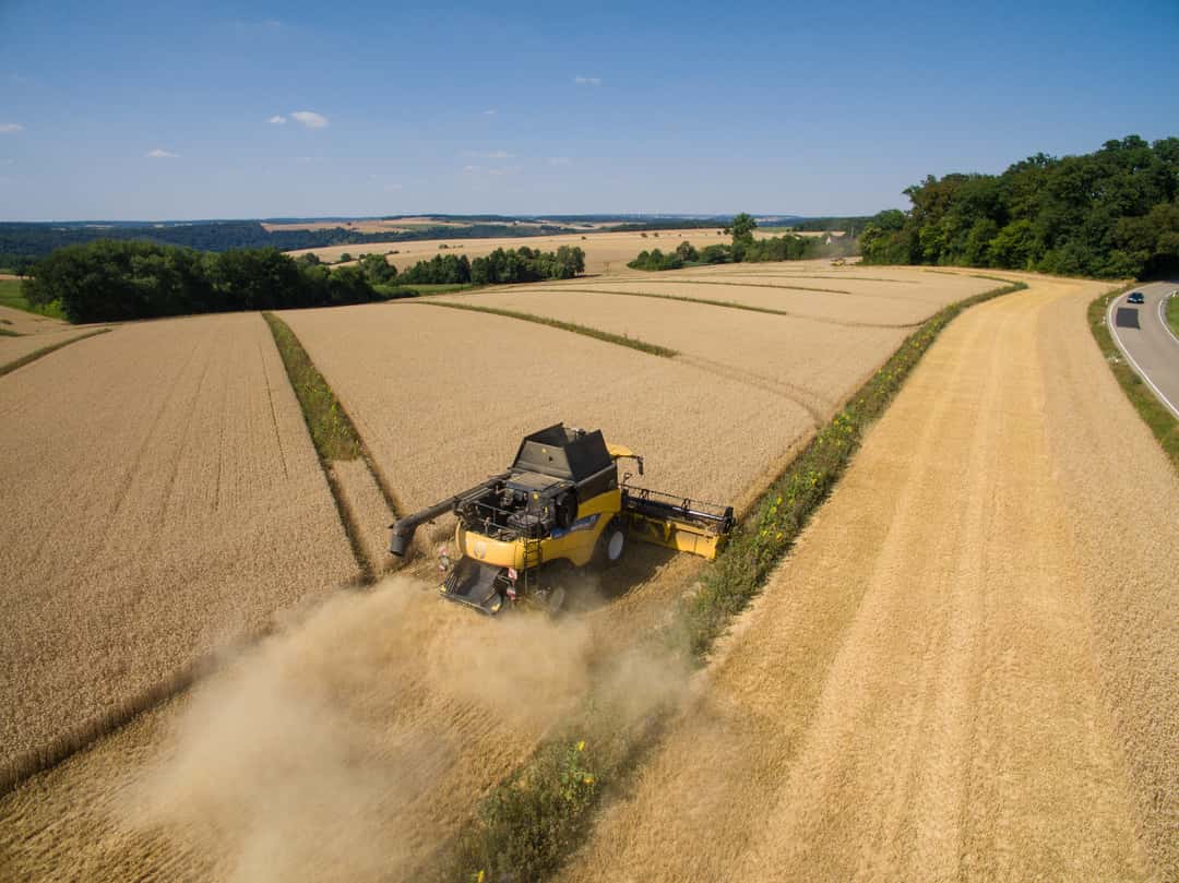 SAPOS für alle und kostenfrei top agrar online