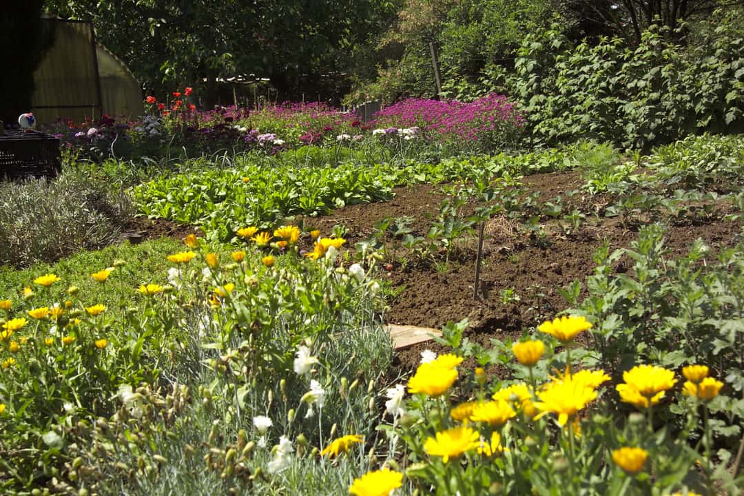 Heute ist Tag des Gartens top agrar online