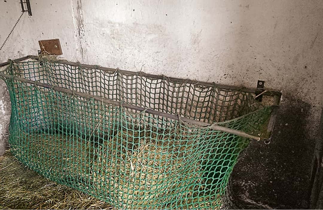 Heunetz für Pferde geschickt befüllen | top agrar online