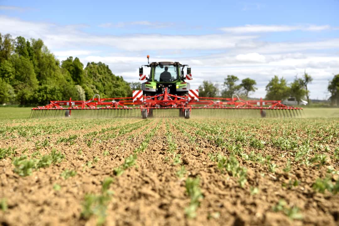 10 Tipps zum optimalen Striegeln und Hacken | top agrar online