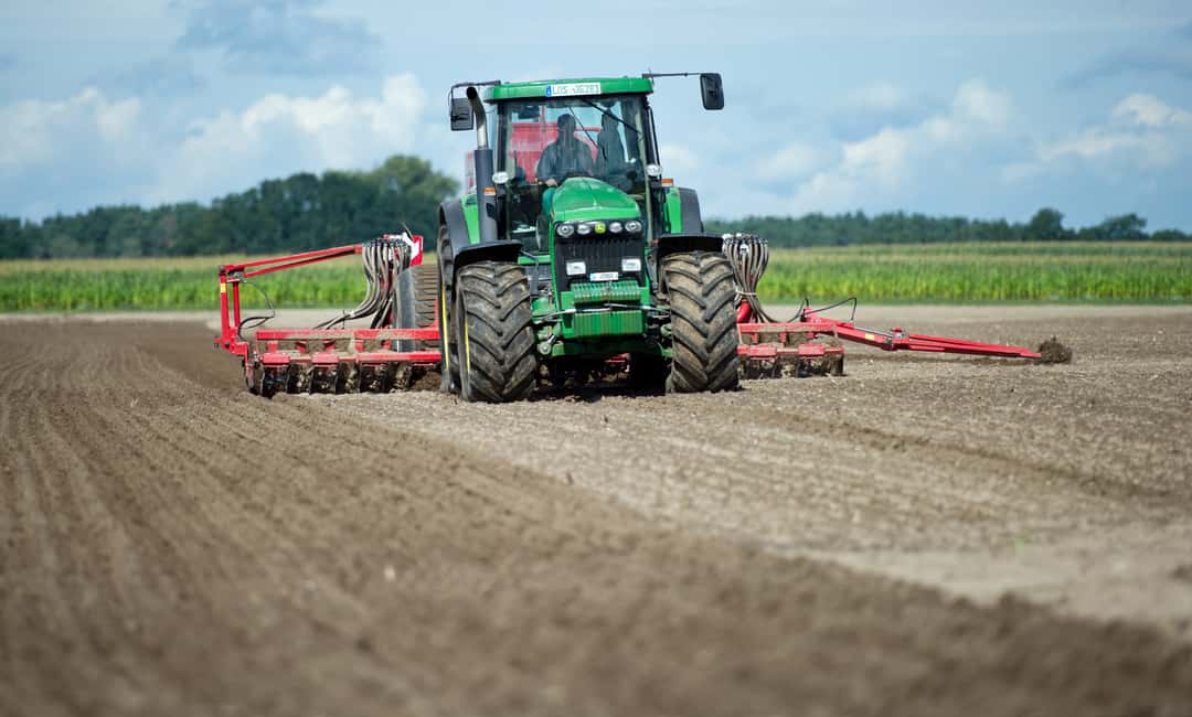 Herbstaussaat zur Ernte 2022: Mehr Winterraps, Wintergetreide auf ...