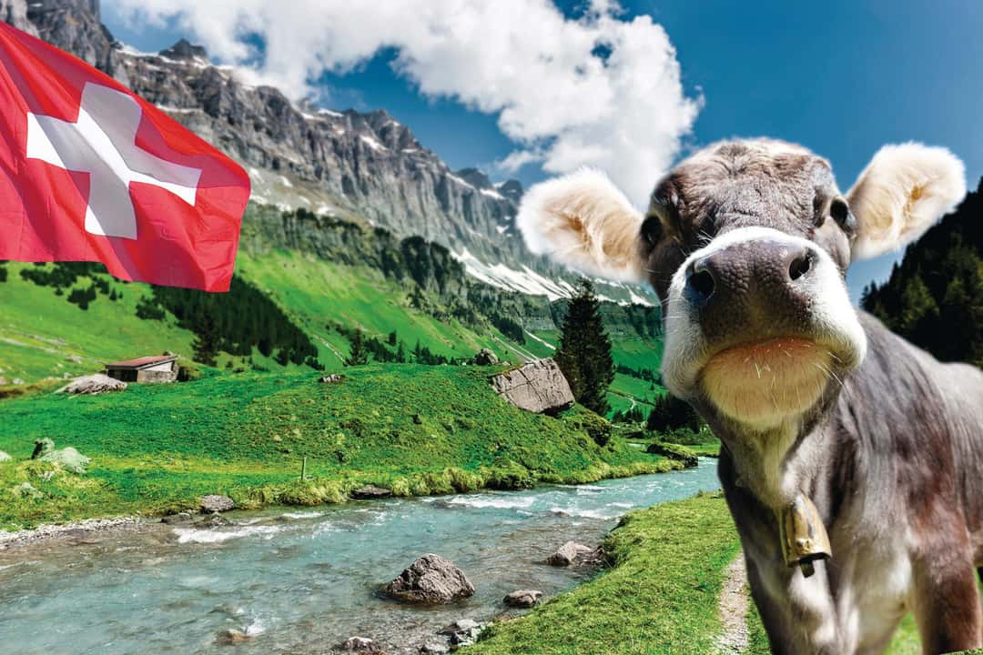 Die Schweiz - ein Paradies für die Landwirtschaft? | top agrar online
