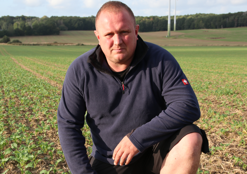 Funktioniert und lohnt die Cultan-Düngung im A-Weizenanbau? | top agrar ...