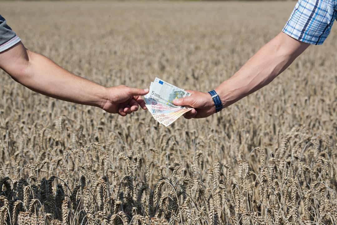 Gesetzliche Rente für Landwirte: Freiwillig in die Rentenversicherung
