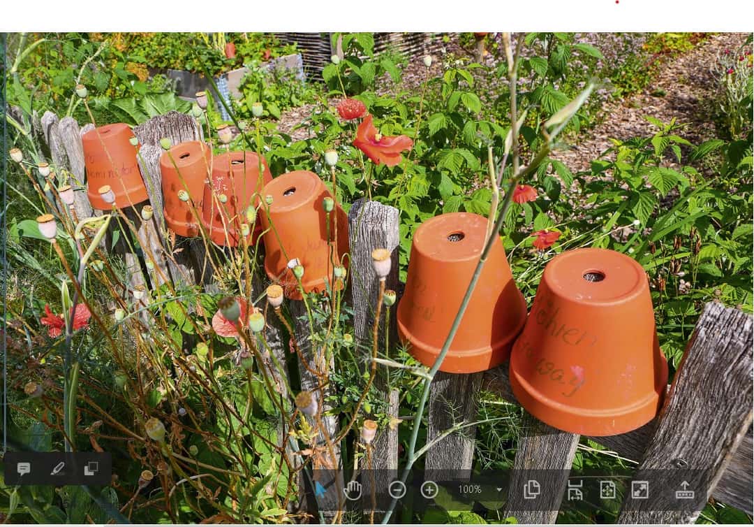 Dekorativer Nutzgarten Expertin gibt Tipps für Blumen und Zierpflanzen