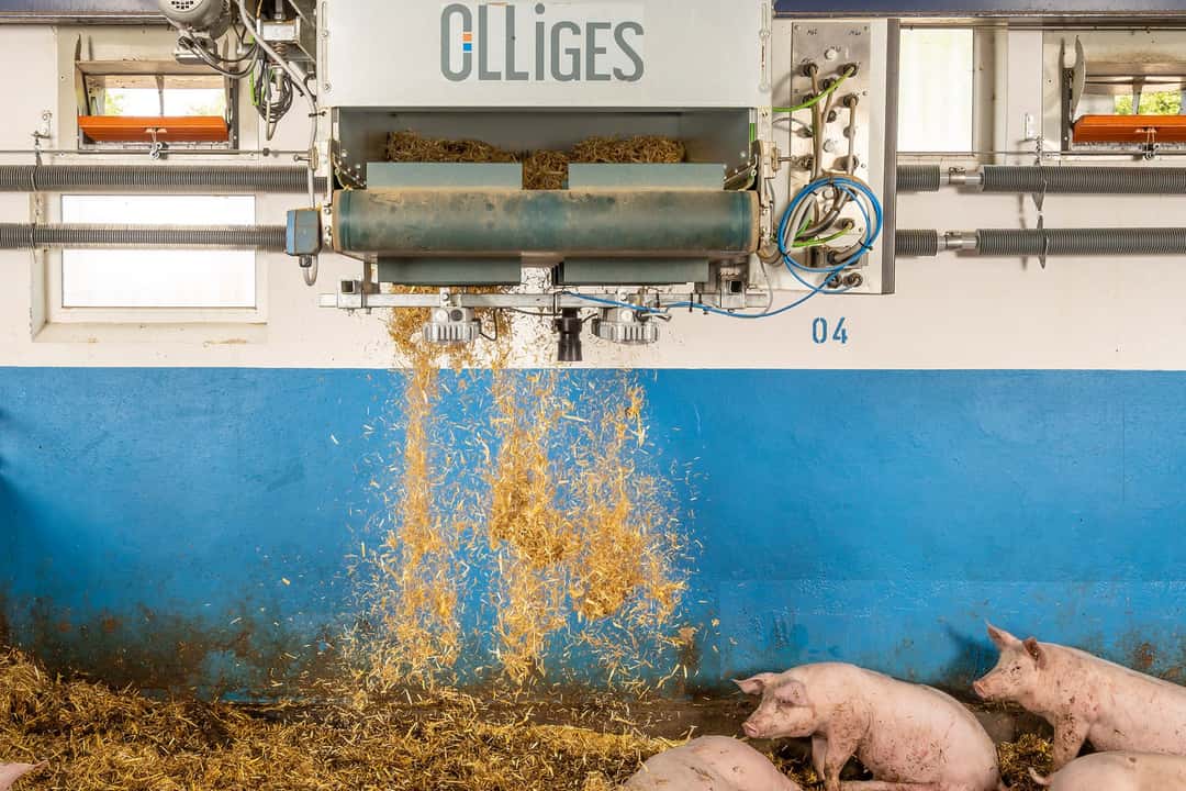 Big Dutchman Einstreuroboter OlliGES erhält EuroTier Silber | top agrar ...