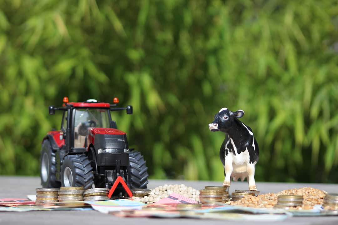 Landwirtschaft: Das ändert sich 2023 bei GAP-Förderung, Tierhaltung und