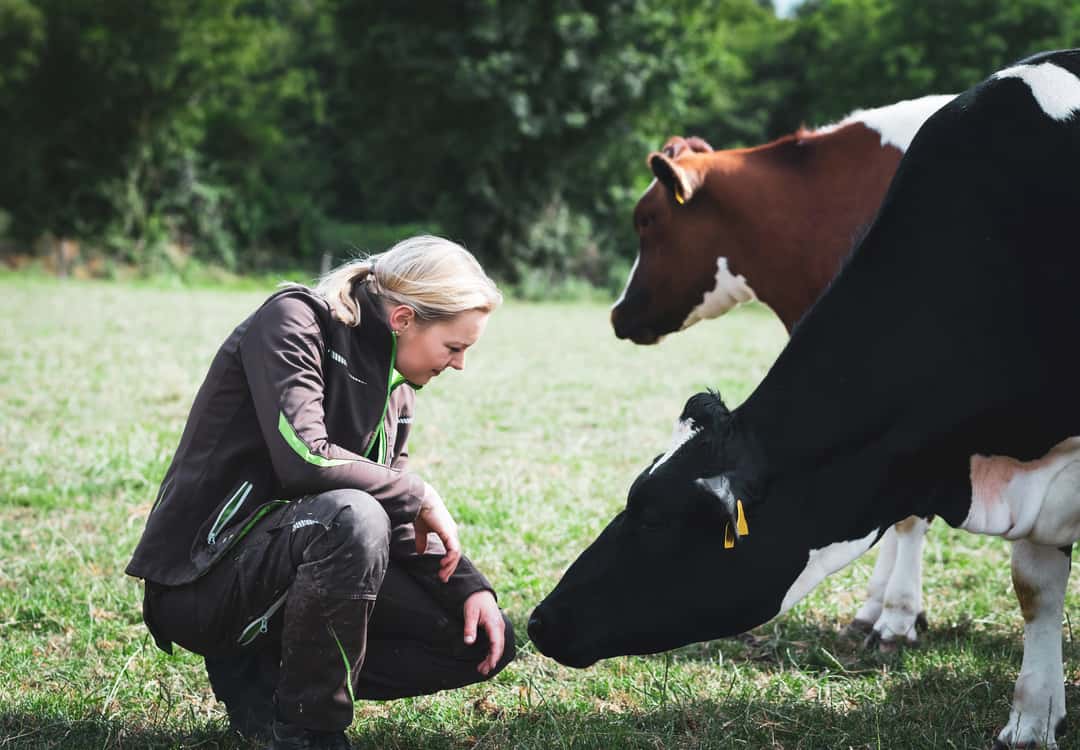 Existenzgründung in der Landwirtschaft: Junglandwirte fordern Grundprämie