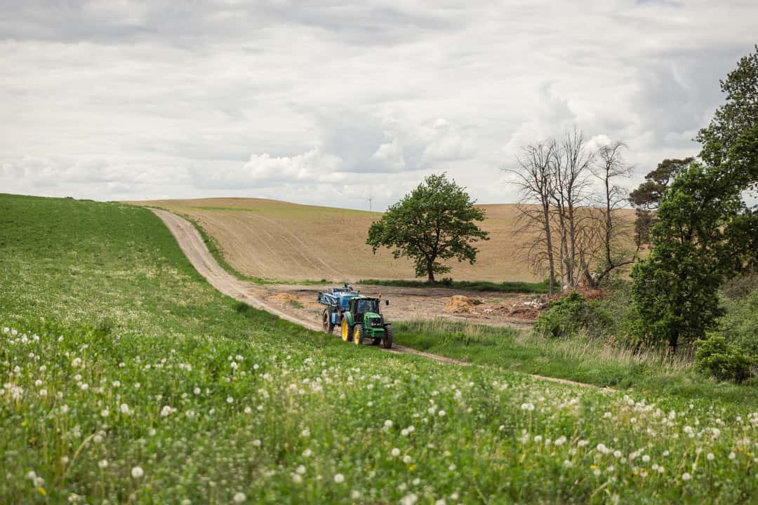 Landwirtschaft in Polen: Probleme und Perspektiven | top agrar online