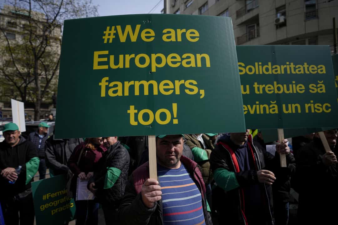 Ponowne protesty chłopskie przeciwko taniemu zbożu z Ukrainy – Polska wstrzymuje import