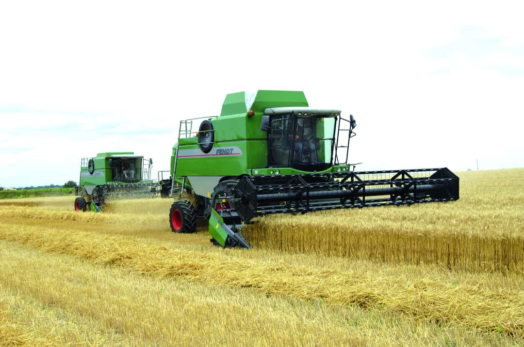 COPA-und-COGECA-erwarten-f-r-EU-mehr-Getreide-und-lsaaten