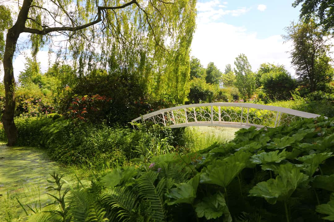 Im Garten der Liebenden Seniorin Elfriede Ruhe pflegt einen 4500 m²