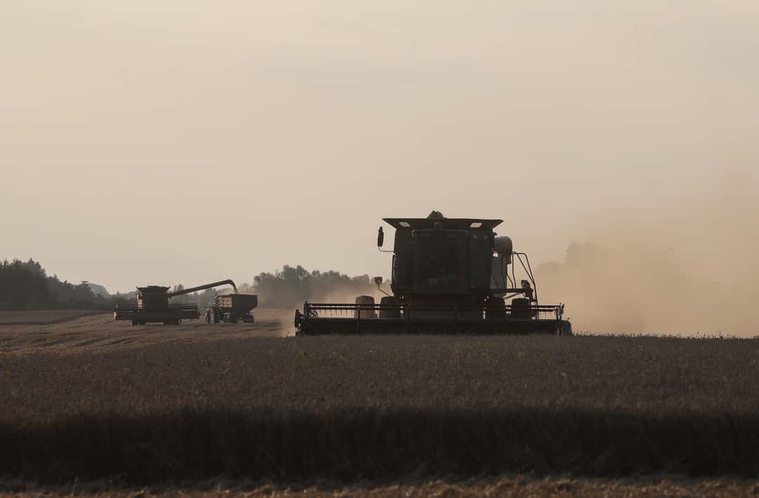 Ukraine: Harvest estimated to be significantly larger despite smaller ...