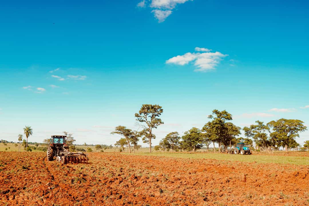 Brasilien will den Green Deal nicht | top agrar online