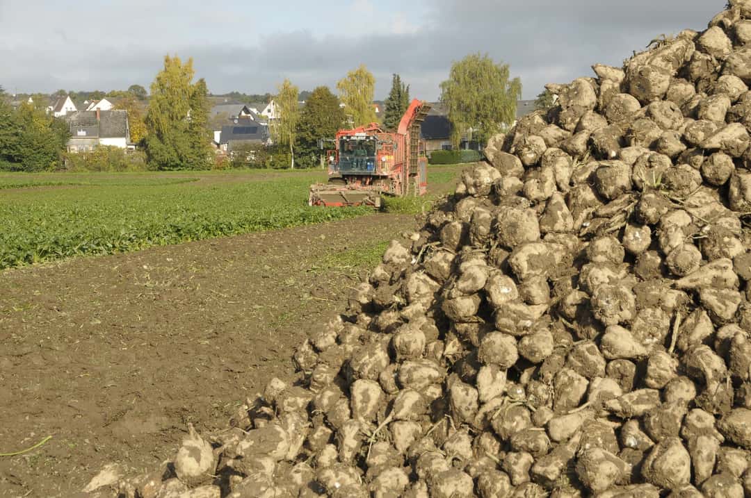 GLÖZ 6: Bauernverband pocht auf praxisnahe Regeln bei