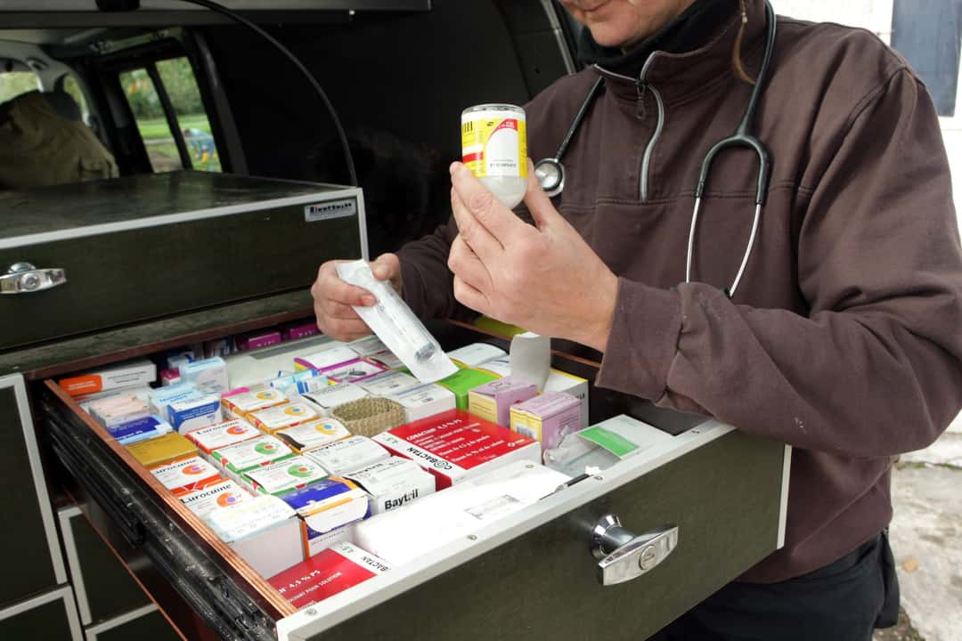 Landwirte reduzieren Antibiotika-Einsatz bei Masttieren deutlich 